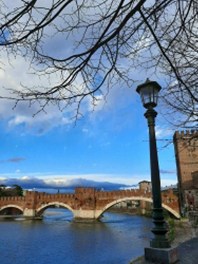 Villa Sul Lago Con Pontile Privato A Brenzone Sul Garda - Unique And Exclusive 外观 照片